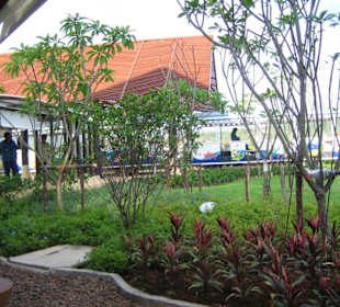 Flughafen Koh Samui
