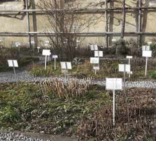 Gewürz- und Kräutergarten