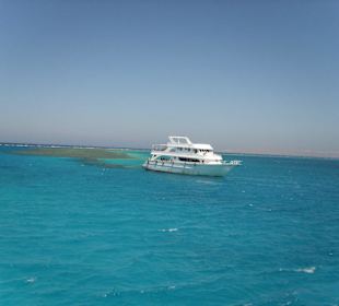 Tauchen und Schnorcheln