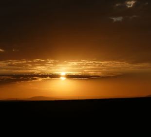Safari in der Masai Mara