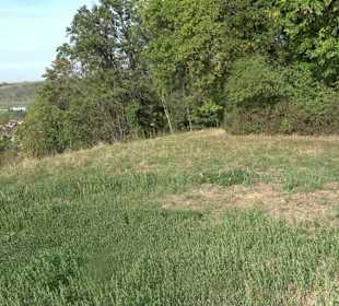 Wanderung zur Burgruine Liebenau