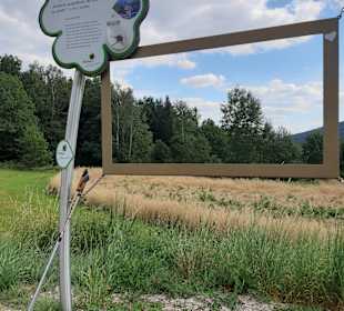 Wandern Moorbad Harbach