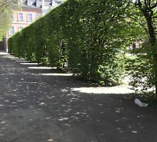 Palastgarten