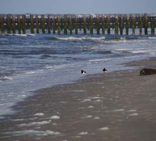 Strand Wangerooge