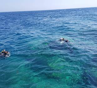 Zum Tauchen (vom Steg)