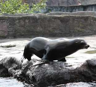 ZOOM Erlebniswelt Gelsenkirchen