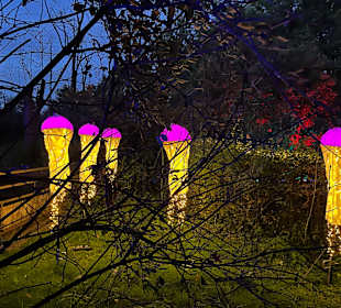 Herbstlichter Brückenkopfpark