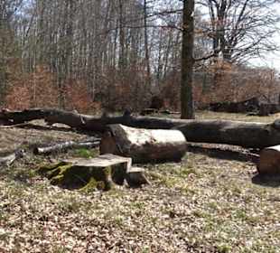 Geschichtlicher Lehrpfad Einsiedel