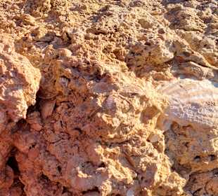 Seven Hanging Valleys Trail 