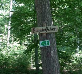 Ruine Hohengenkingen - Genkingen