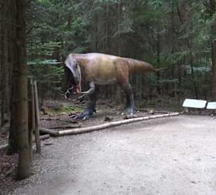 Dinosaurier Museum Altmühltal