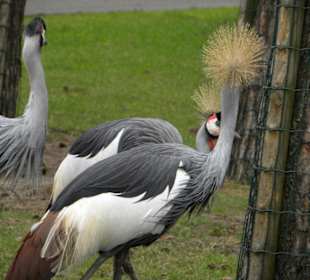 Serengeti Park Hodenhagen