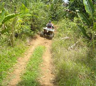 Über Stock und Stein