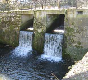 Auf der Schlossgartenstraße / oberhalb der Park