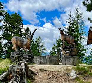 Wandern Bad Hofgastein
