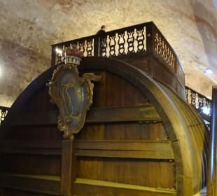 Bergbahn - Aus- und Einblicke vom Schloss