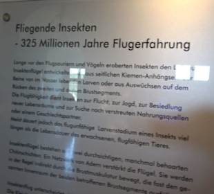 Jura-Museum