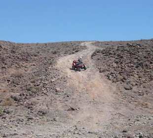 Quad-Tour