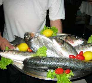  1 A  Fisch der beste den wir je gegessen haben