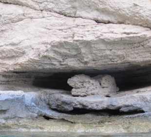 La grotta del bue marino