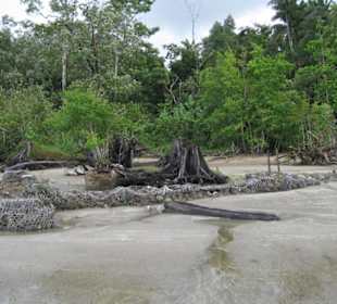 Strandimpression vom Bako Nationalpark