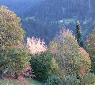 On the Hohe Salve