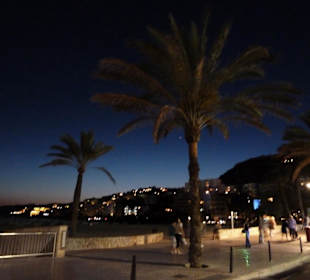 Santa Ponca bei Nacht