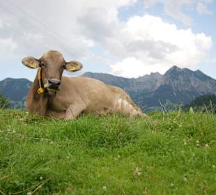 Wandern Obermaiselstein