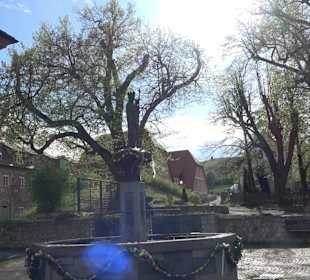 Kloster Kirchheim am Ries