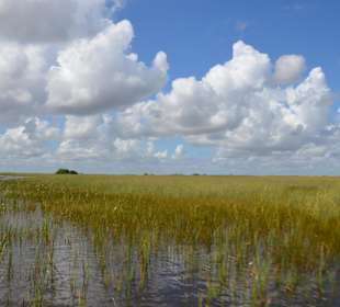 Everglades