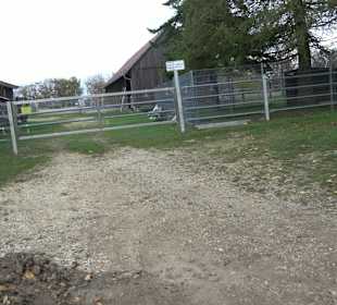 Freizeitheim Diepoldsburg