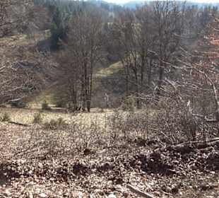 Naturerlebnispfad Meidelstetten