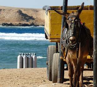 Coraya Bay im Winter