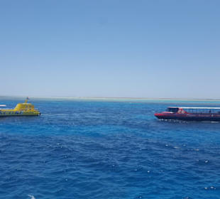 Glasbodenboot Hurghada