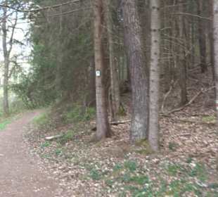 Vitus Mayer Waldlehrpfad
