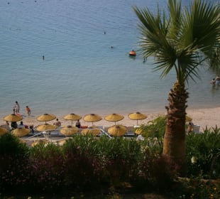 Hotel Palm Wings Beach Resort