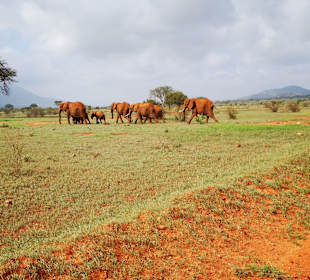 Tsavo Ost Nationalpark