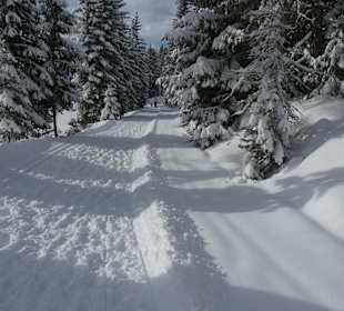 Rodenecker Alm 