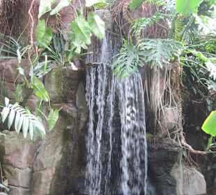 Wasserfall im Tropenhaus