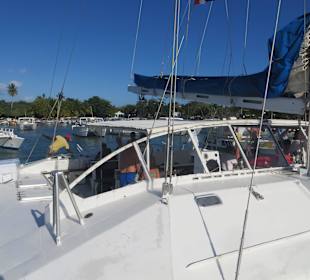 Zurück im Hafen von Bajahibe