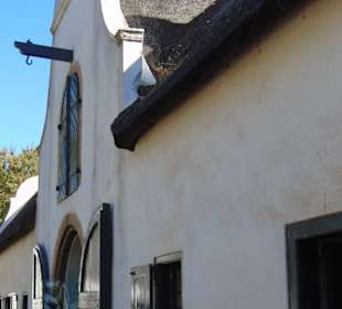 Weingut Groot Constantia