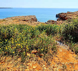 Nationalpark Kap Greco