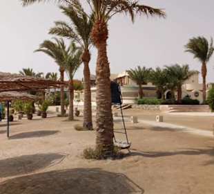 Ausflug El Gouna mit Alex Andra