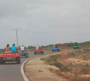 Buggy Tour