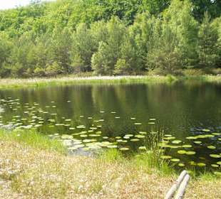 Usedom - Muggelsee