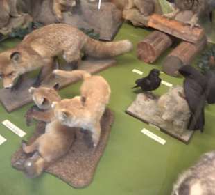 Heimatmuseum Oberstdorf