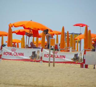 Strand von Bibione 06-2010