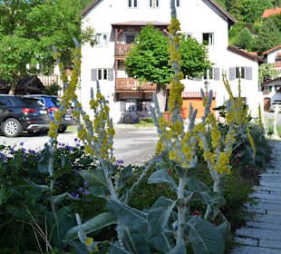 Altstadt Mittenwald