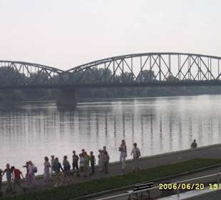 Widok z bulwarów nad Wisłą w Toruniu