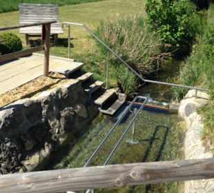 Wassertretanlage Vöhringen